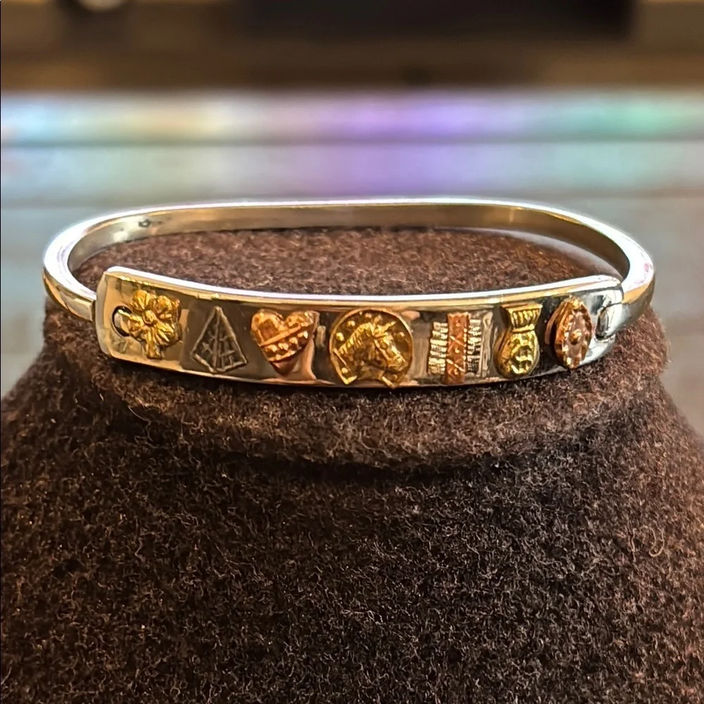 Multi-Character Bangle Bracelet Silver Bronze Gold Tone Bracelet Horseshoe Money